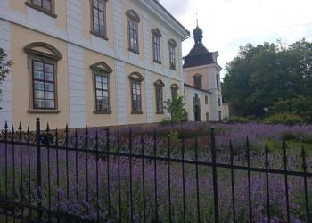 IMG_20240606_095045