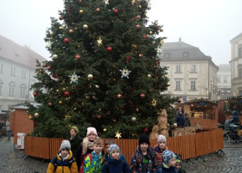 IMG_20251209_112548879_MFNR