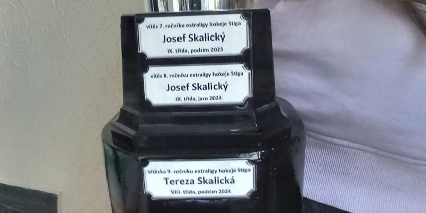 STIGA HOKEJ